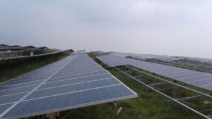 Solar plant ground mount